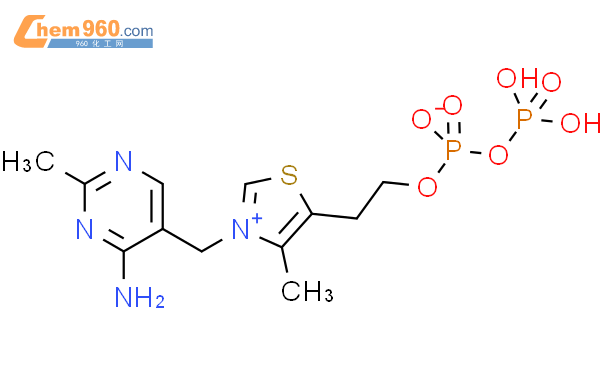硫胺(1+)二磷酸酯(1-)