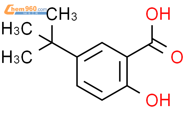 5-叔丁基-2-羟基苯甲酸