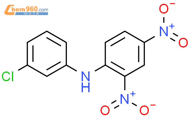 16220 58 9 Benzenamine N 3 chlorophenyl 2 4 dinitro CAS号 16220 58 9