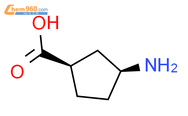 3-氨基环戊羧酸