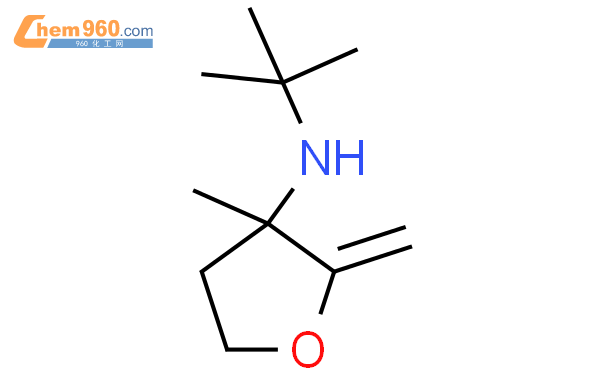 192324 32 6 N tert butyl 3 methyl 2 methylideneoxolan 3 amineCAS号