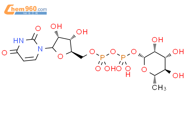 尿苷二磷酸鼠李糖