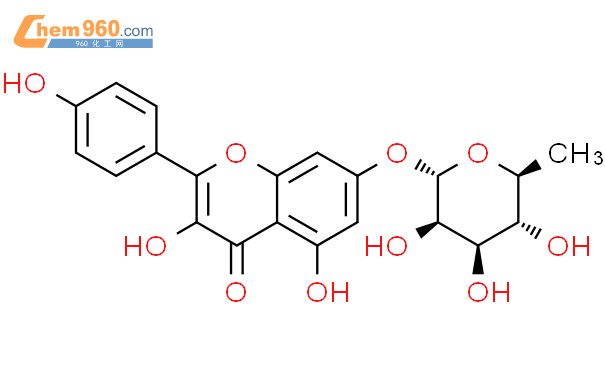 山柰酚-7-O-α-L-鼠李糖苷