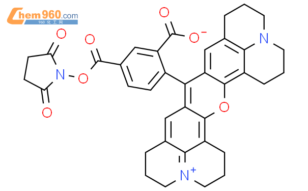 5-羧基-X-罗丹明琥珀酰亚胺酯（单一化合物）
