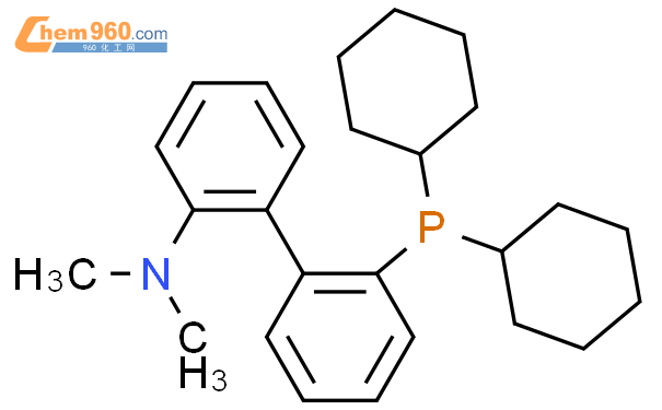 2-(二环己基)-2-(N,N-二甲基氨基)联苯