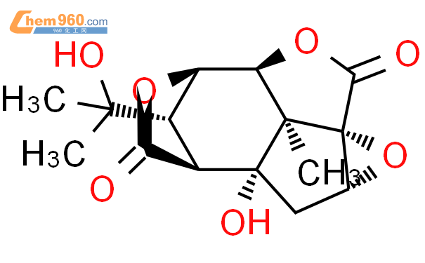 N6-methyladenosine (m6A) 多抗
