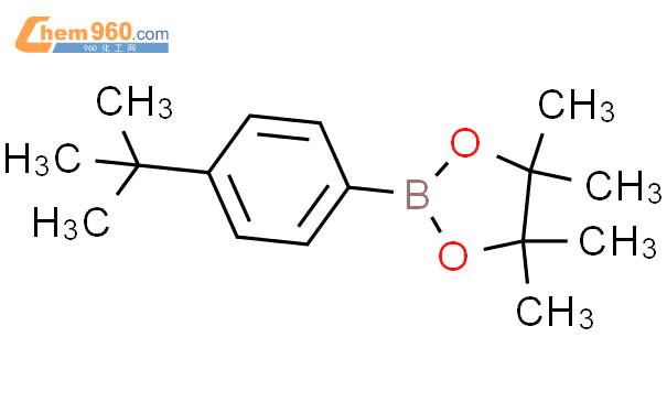 4-叔丁基苯硼酸频那醇酯