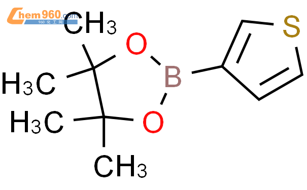 4,4,5,5-四甲基-2-(3-噻吩基)-1,3,2-二氧杂硼烷