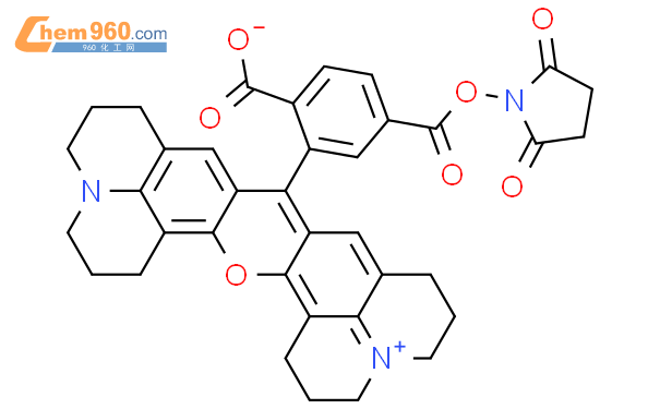 6-羧基-X-罗丹明 N-琥珀酯