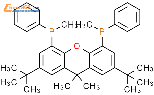 (R,r)-2,7-二-叔丁基-9,9-二甲基-4,5-双(甲基苯膦)氧杂蒽