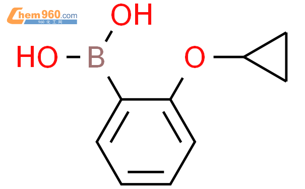 (2-环丙氧基苯基)硼酸