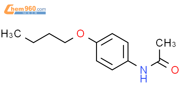 4-正丁氧基苯胺乙酰