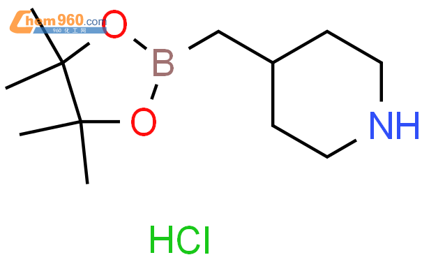 2365173 97 14 4455 四甲基 132 二氧硼烷 2 基甲基 哌啶 盐酸盐cas号2365173 97 14 4455 四甲基 132 二氧硼 