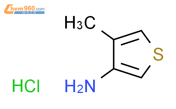 4-甲基噻吩-3-胺盐酸盐