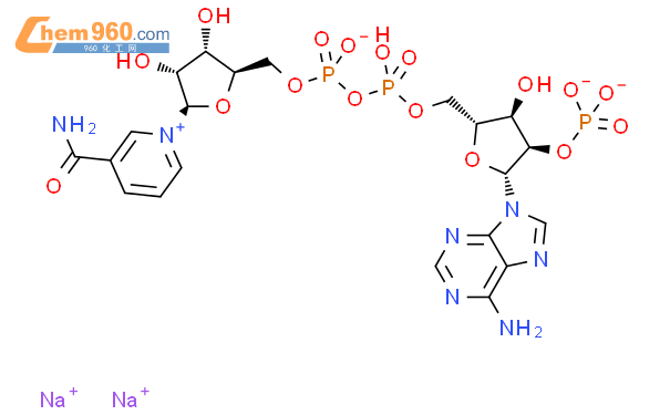 氧化型辅酶Ⅱ 二钠