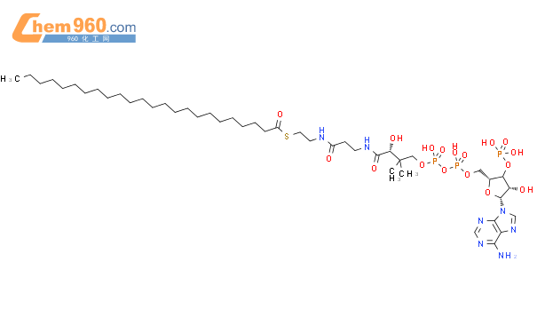 Lignoceroyl-CoA结构式图片|24305-30-4结构式图片