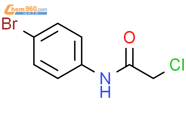 N-(4-溴苯基)-2-氯乙酰胺结构式图片|2564-02-5结构式图片