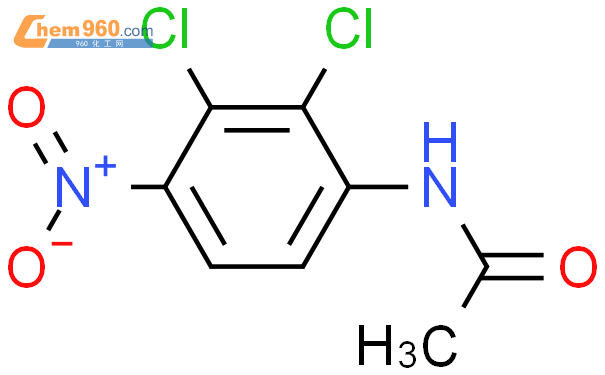 2,3-dichloro-4-nitroacetanilide
