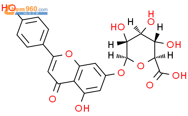 芹菜素-7-O-葡萄糖醛酸苷；灯盏花甲素