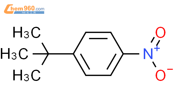 1-叔丁基-4-硝基苯