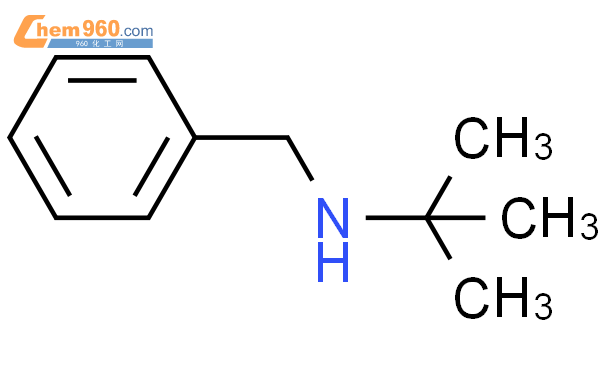 N-苄基叔丁胺