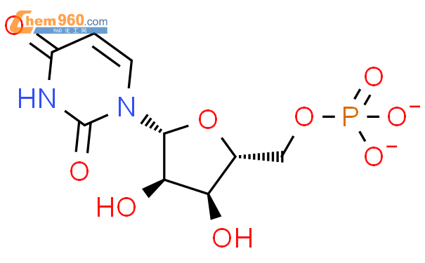 5'-尿苷酸二钠(UMP)