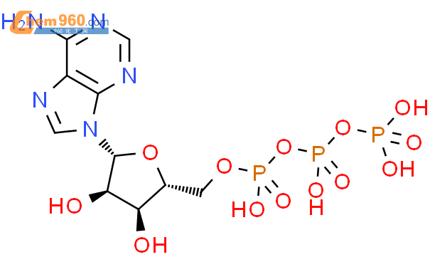 [Perfemiker]5-腺苷三磷酸二钠盐水合物