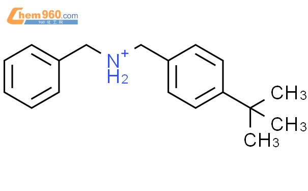 苄基-(4-叔丁基-苄基)-胺