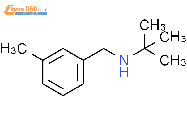 N-(3-甲基苄基)叔丁基胺