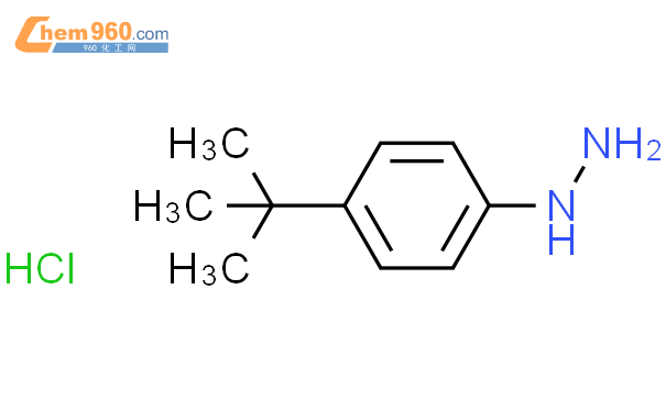4-叔丁基苯肼盐酸盐