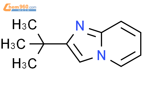 2-叔丁基咪唑并[1,2-a]吡啶