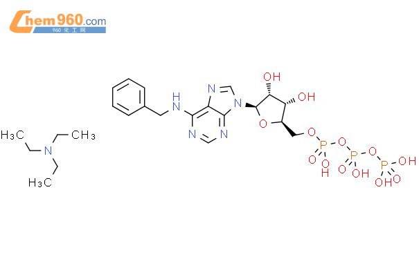 N6-Benzyl-ATP结构式图片|40922-97-2结构式图片