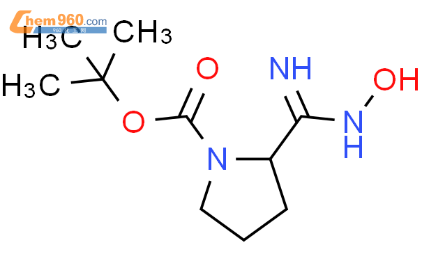 2-[(羟基氨基)亚氨基甲基]-1-吡咯烷甲酸叔丁酯