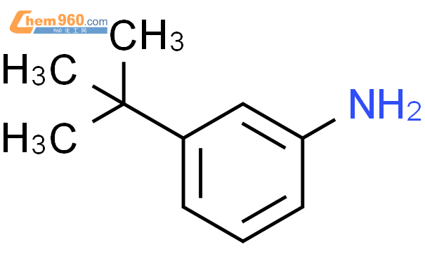3-叔-丁基苯胺