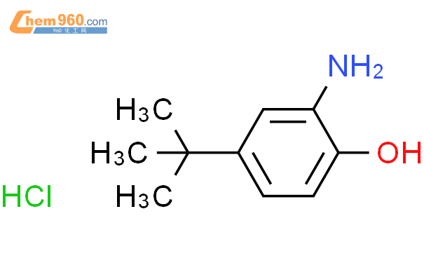 54118-63-7,2-amino-4-tert-butylphenol,hydrochloride化学式、结构式、分子式、mol ...