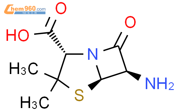 6-氨基青霉烷酸
