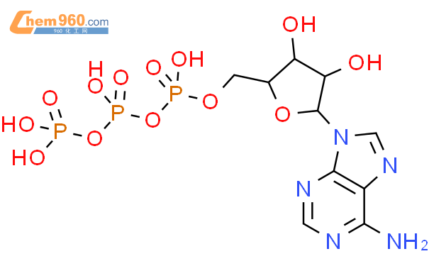 腺苷-5'-三磷酸 （ATP·自由酸）