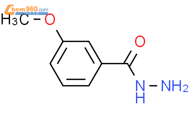 3-甲氧基苯酰肼