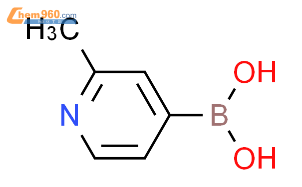 2-甲基-4-吡啶硼酸