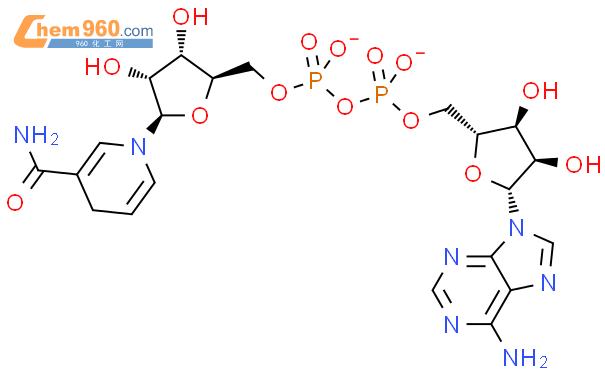 二氢烟酰胺-腺嘌呤二核苷酸