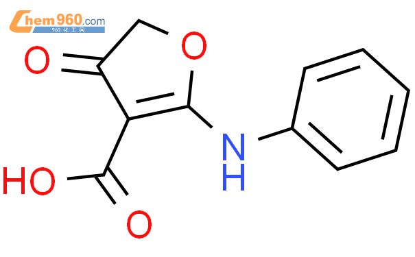 2-苯胺-4-氧代-4,5-二氢呋喃-3-羧酸