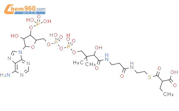 Ethylmalonyl-CoA结构式图片|6049-57-6结构式图片