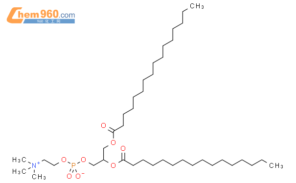 二棕榈酰磷脂酰胆碱