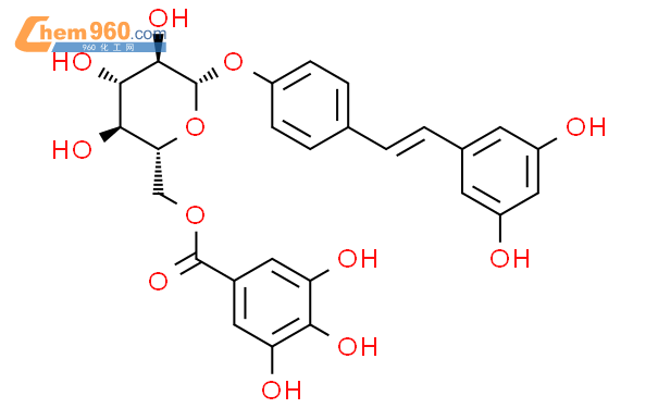 白藜芦醇-4'-O-β-D-(6''-O-没食子酰) 葡萄糖苷