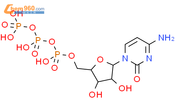 胞苷-5'-三磷酸 （CTP·自由酸）