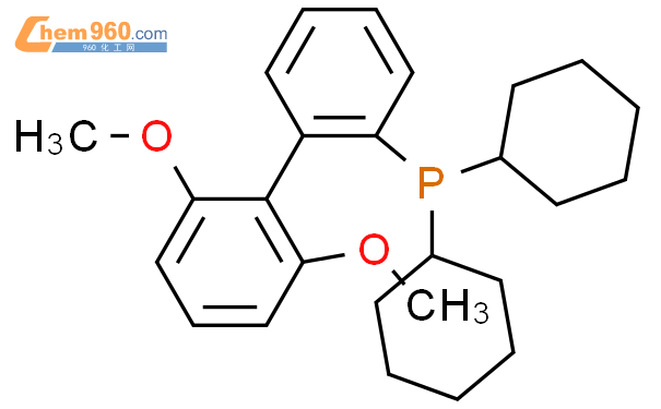 2-双环己基膦-2',6'-二甲氧基联苯