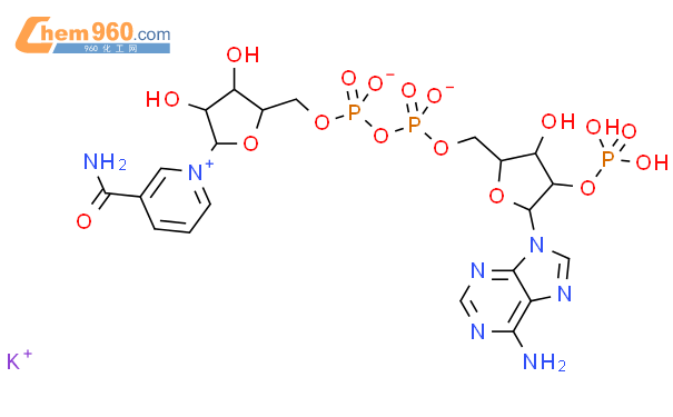 腺嘌呤二核苷酸磷酸单钾盐二水合物