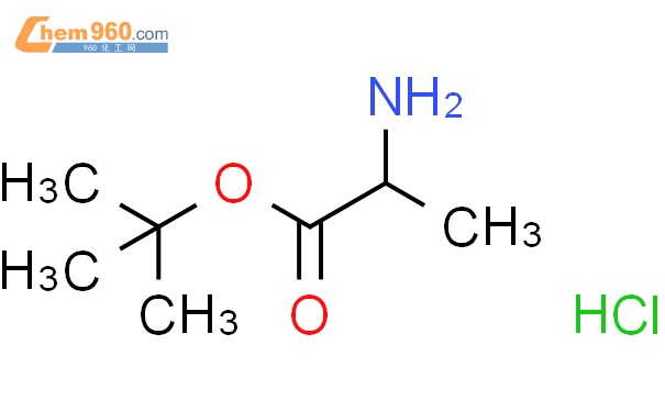 2-氨基丙酸叔丁酯盐酸盐