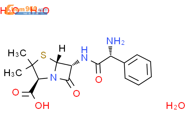 氨苄西林/氨苄青霉素