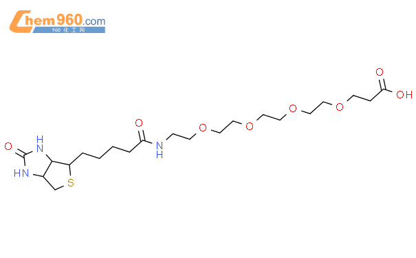 21-[(3AS,4S,6AR)-六氢-2-氧代-1H-噻吩并[3,4-D]咪唑-4-基]-17-氧代-4,7,10,13-四氧杂-16-氮杂二十一烷酸